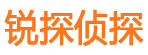 新余市调查公司